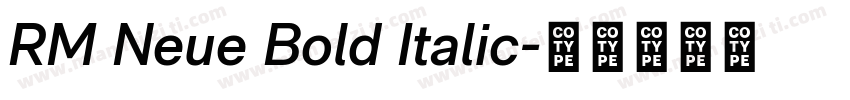 RM Neue Bold Italic字体转换